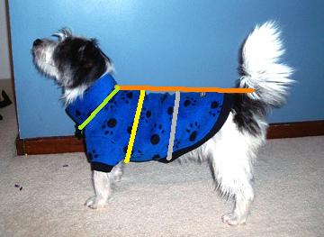 jumper-where-to-measure.jpg